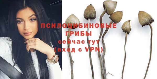 не бодяженный Дмитровск