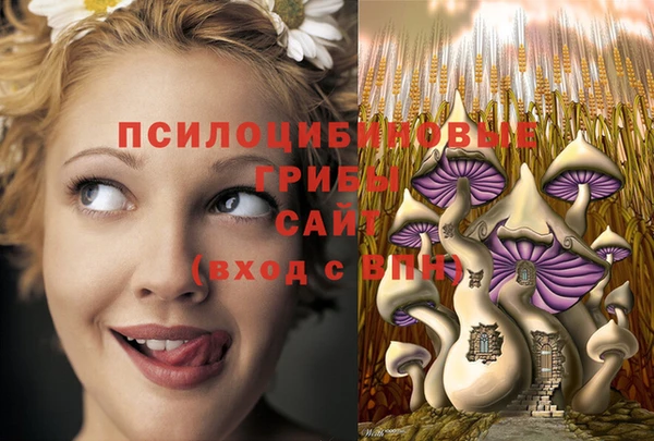 mix Дмитриев
