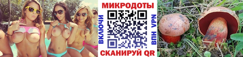 Псилоцибиновые грибы MAGIC MUSHROOMS  Майкоп 